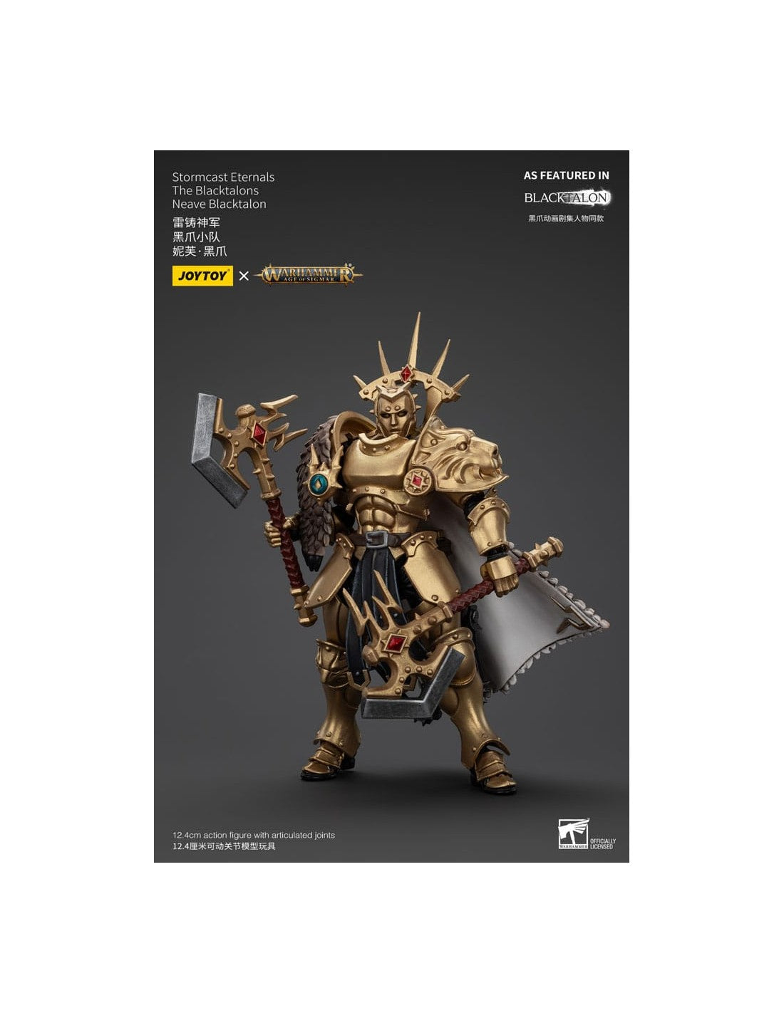 Stormcast Eternals The Blacktalons Neave Blacktalon. Warhammer: Age of Sigmar