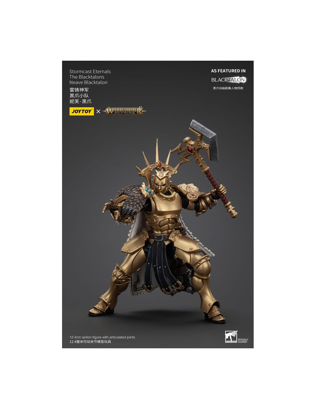 Stormcast Eternals The Blacktalons Neave Blacktalon. Warhammer: Age of Sigmar