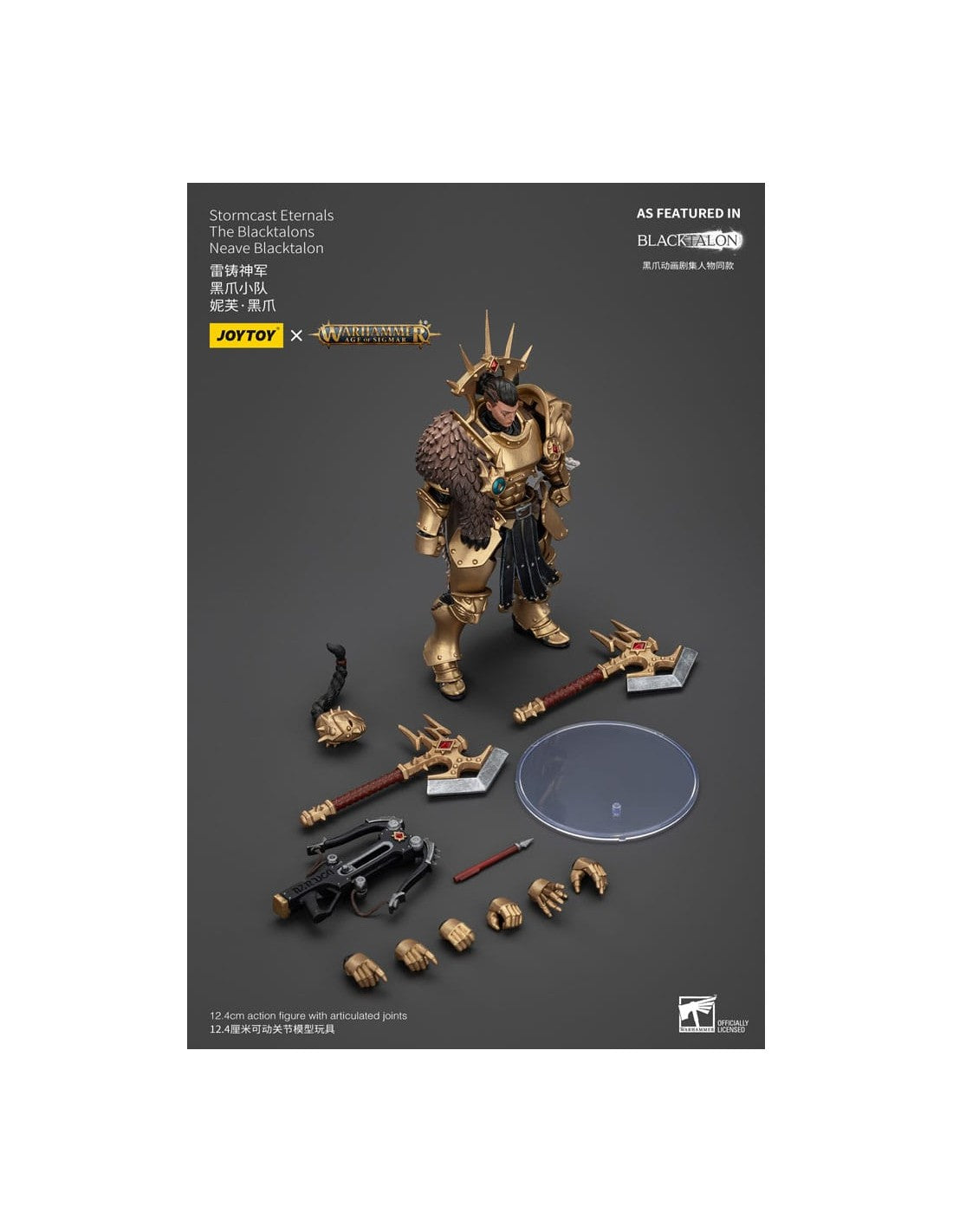Stormcast Eternals The Blacktalons Neave Blacktalon. Warhammer: Age of Sigmar