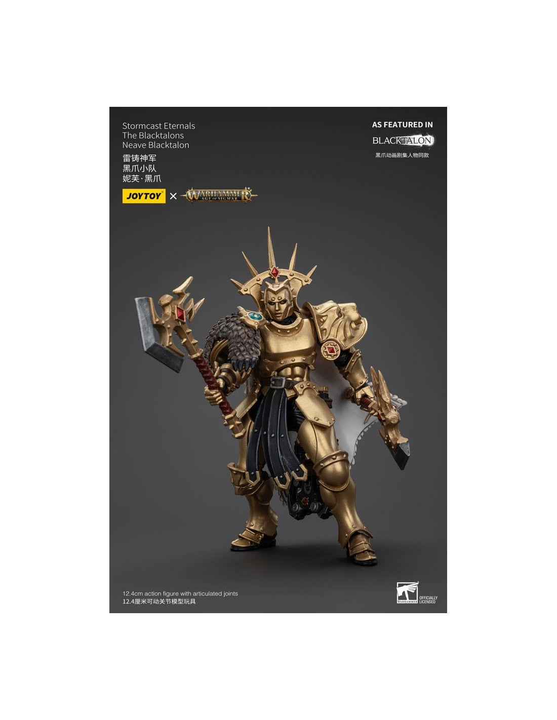 Stormcast Eternals The Blacktalons Neave Blacktalon. Warhammer: Age of Sigmar