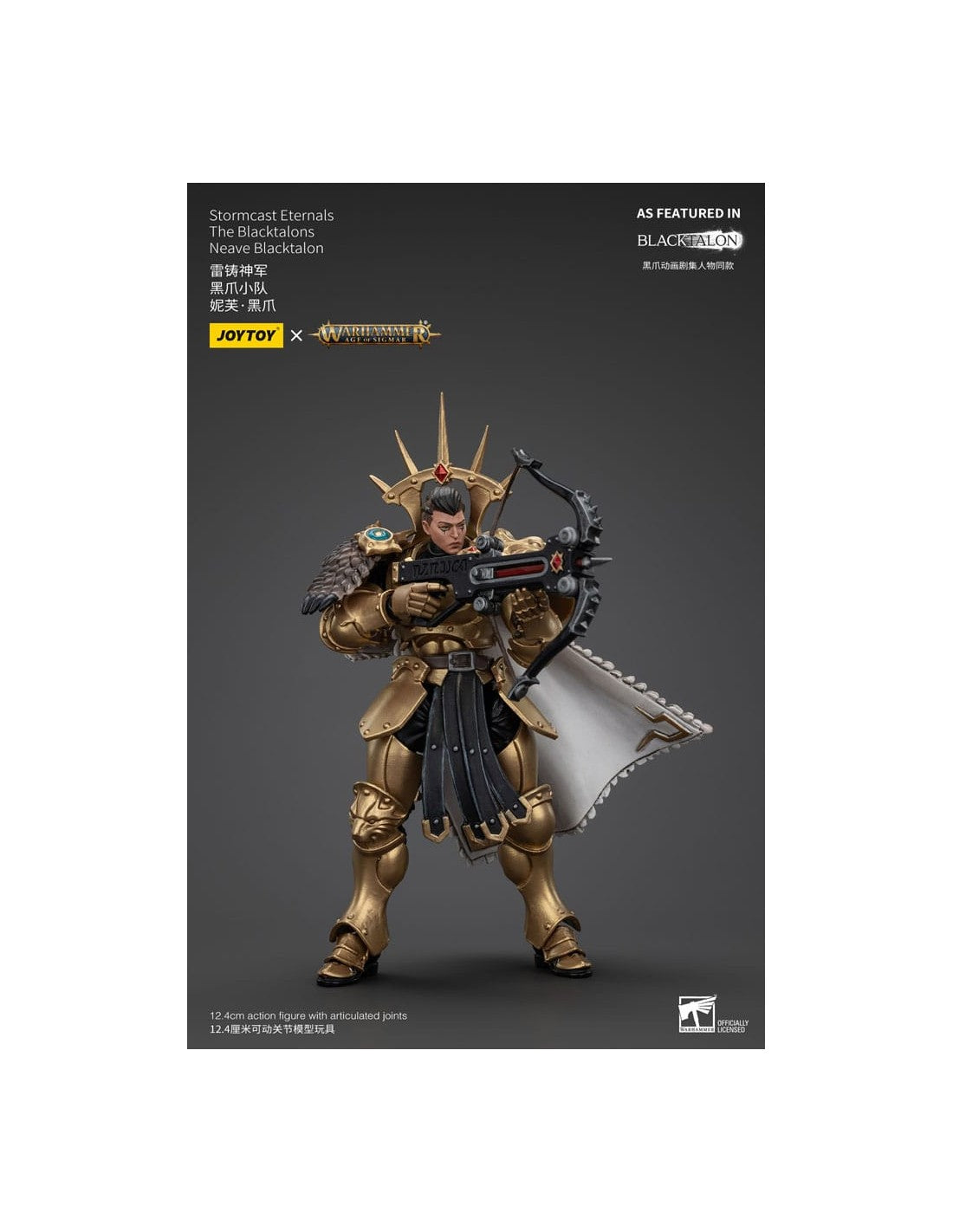 Stormcast Eternals The Blacktalons Neave Blacktalon. Warhammer: Age of Sigmar