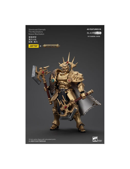 Stormcast Eternals The Blacktalons Neave Blacktalon. Warhammer: Age of Sigmar